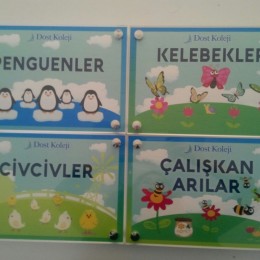 Yönlendirme Sistemleri